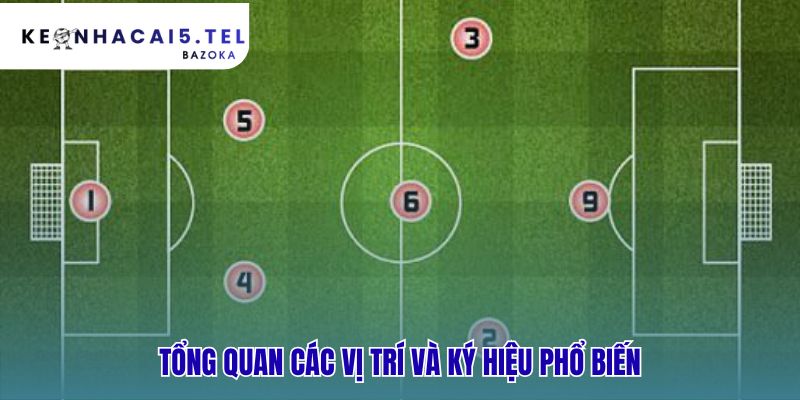 Các vị trí bóng đá và ký hiệu viết tắt phổ biến nhất